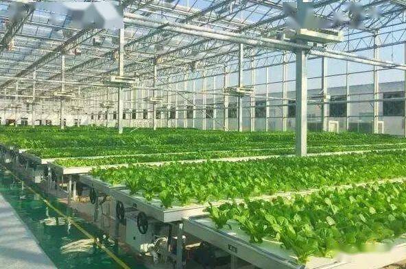 cbc38e2137dd4a7f8ba079b00e88e6b0